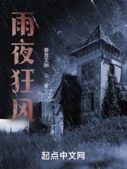 狂风暴雨的夜晚的句子