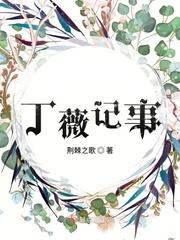 丁薇记事全文免费阅读笔趣阁
