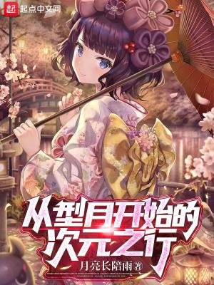 从型月开始的次元之旅黑翼