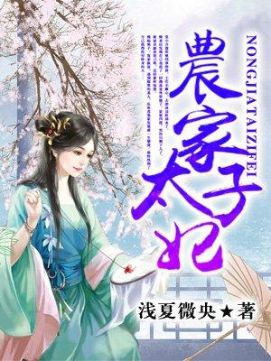 农家太子妃第144集视频