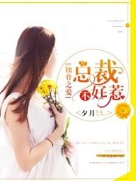 千亿宠儿夜少的独宠妻