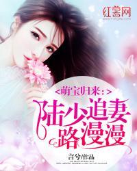 萌妻到货陆少请签收
